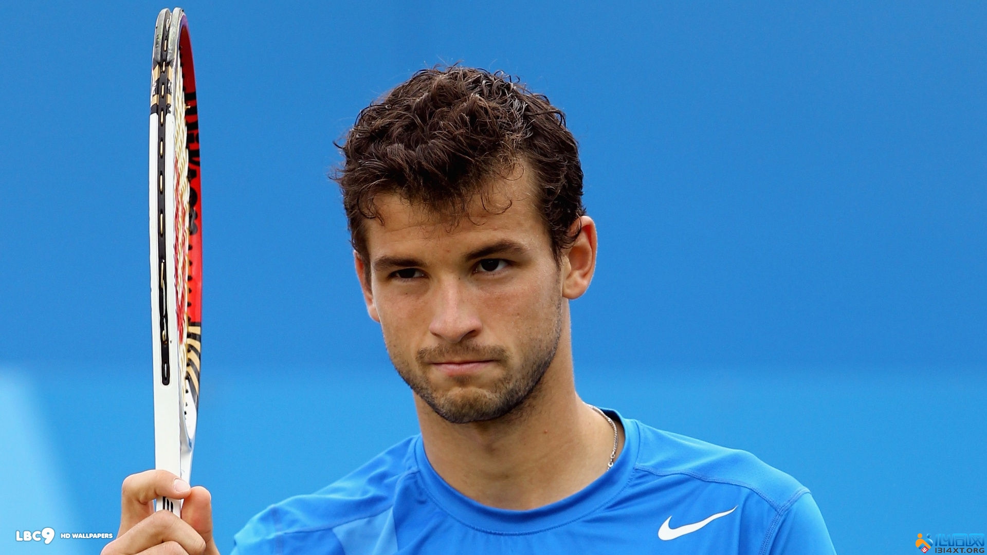 但选择去韩 但选择去韩